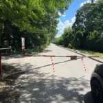 Drumul prin Pădurea Băneasa va fi redeschis traficului auto. „Este un abuz și un ecocid”