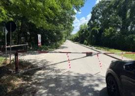 Drumul prin Pădurea Băneasa va fi redeschis traficului auto. „Este un abuz și un ecocid”