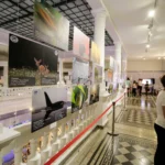 „Triunghiul Muzeelor”, lansat în București. Kiseleff devine promenadă culturală