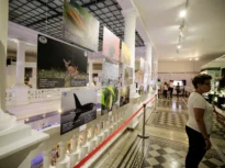 „Triunghiul Muzeelor”, lansat în București. Kiseleff devine promenadă culturală