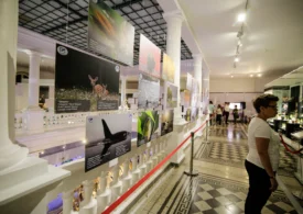 „Triunghiul Muzeelor”, lansat în București. Kiseleff devine promenadă culturală pentru un weekend