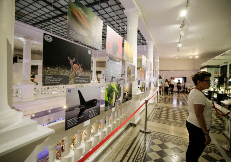 „Triunghiul Muzeelor”, lansat în București. Kiseleff devine promenadă culturală