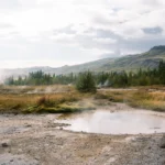 Aceasta este viețuitoarea care supraviețuiește și se înmulțește și la 63 de grade Celsius, în izvoare geotermale