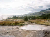 Aceasta este viețuitoarea care supraviețuiește și se înmulțește și la 63 de grade Celsius, în izvoare geotermale