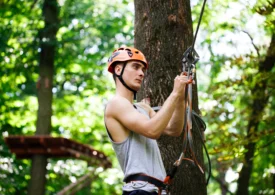 Cum se toaletează arborii aflați între clădiri, garduri sau cabluri?
