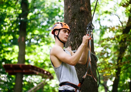 Cum se toaletează arborii aflați între clădiri, garduri sau cabluri?