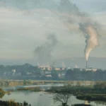Din păcate, încă un efect al poluării. În ce fel poate fi fatală