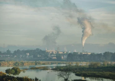 Din păcate, încă un efect al poluării. În ce fel poate fi fatală