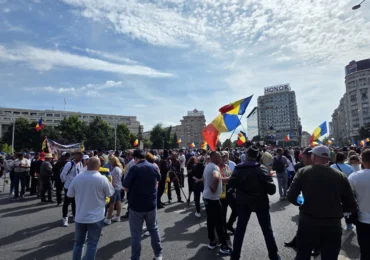 Tensiuni la protestul oierilor: „Țarcurile sunt pentru animale”