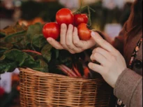 Pasta de tomate, efect asupra creierului. Ce au descoperit oamenii de știință