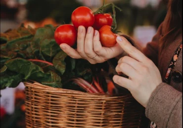 Pasta de tomate, efect asupra creierului. Ce au descoperit oamenii de știință
