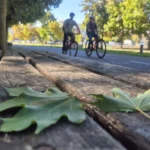 Vremea trece de la o extremă la alta: De la 25 la 15 grade, în doar două zile. Ce urmează până la jumătatea lunii noiembrie