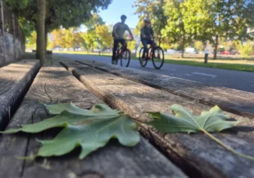 Vremea trece de la o extremă la alta: De la 25 la 15 grade, în doar două zile. Ce urmează până la jumătatea lunii noiembrie
