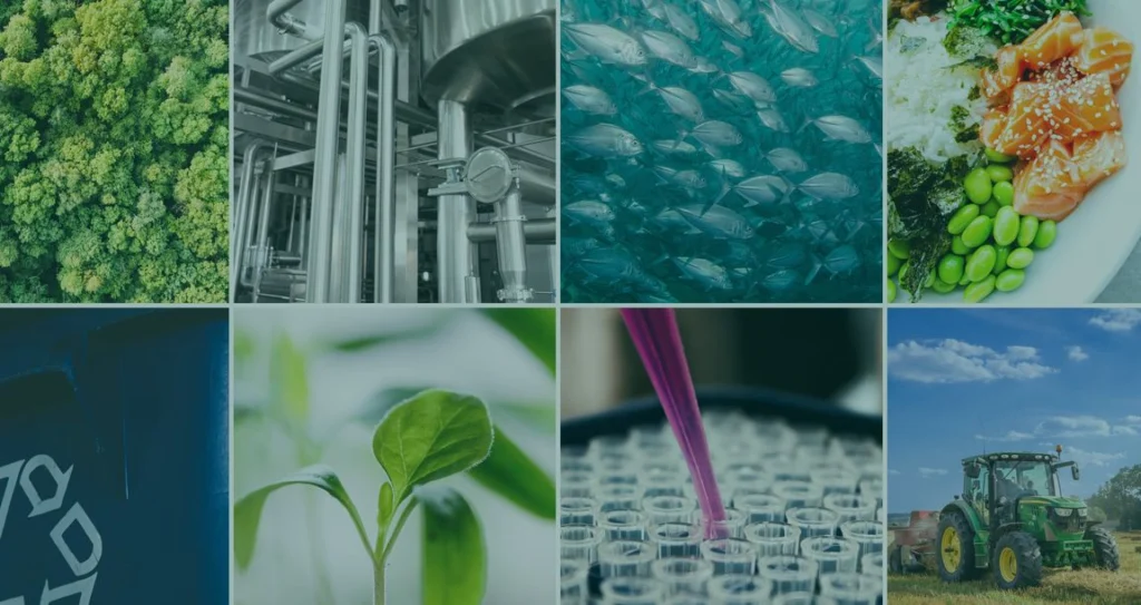 Plastic din zahăr vegetal și asfalt din lemn. Inovațiile care ar putea schimba industria europeană