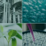 Plastic din zahăr vegetal și asfalt din lemn. Inovațiile care ar putea schimba industria europeană