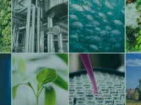 Plastic din zahăr vegetal și asfalt din lemn. Inovațiile care ar putea schimba industria europeană