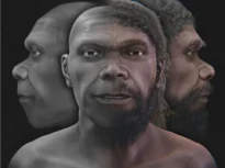 Cum arăta cel mai vechi Homo sapiens cunoscut? O reconstrucție digitală dezvăluie un chip surprinzător de familiar