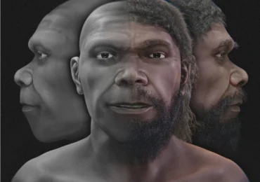 Cum arăta cel mai vechi Homo sapiens cunoscut? O reconstrucție digitală dezvăluie un chip surprinzător de familiar