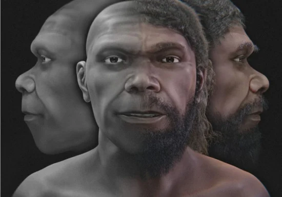 Cum arăta cel mai vechi Homo sapiens cunoscut? O reconstrucție digitală dezvăluie un chip surprinzător de familiar