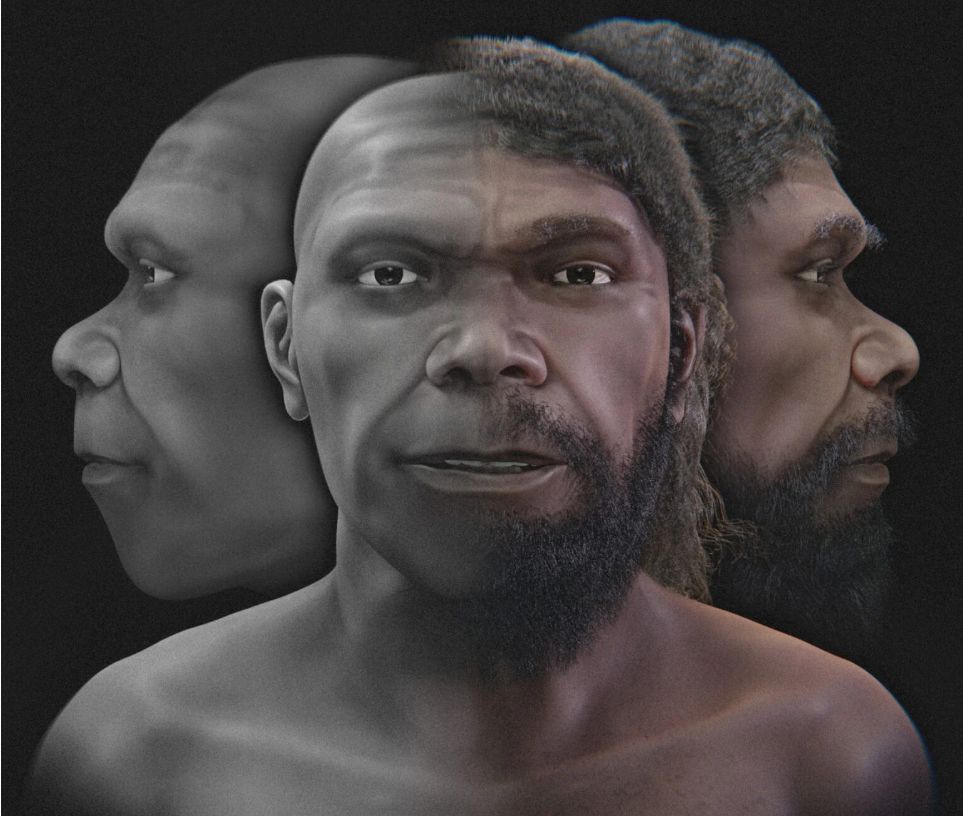 Cum arăta cel mai vechi Homo sapiens cunoscut? O reconstrucție digitală dezvăluie un chip surprinzător de familiar