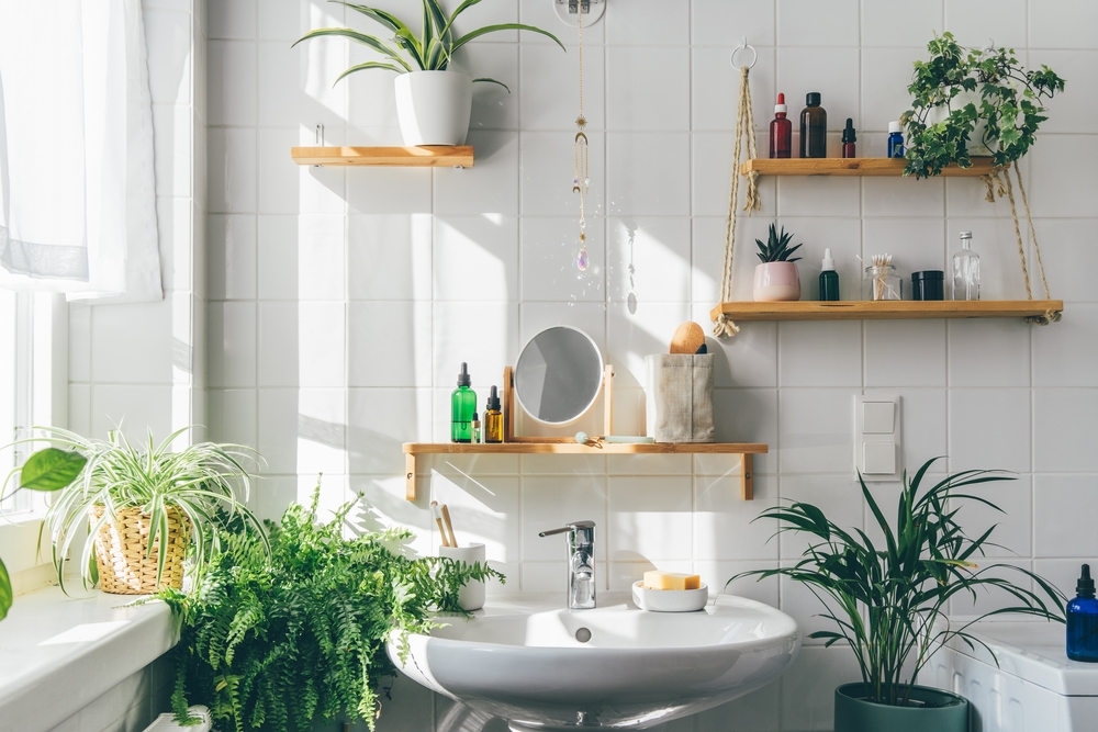 5 plante verzi pe care le poți crește în baie