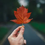 Ce spune un octombrie călduros despre iarna care urmează: Vom avea ger de crapă pietrele?