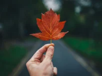 Ce spune un octombrie călduros despre iarna care urmează: Vom avea ger de crapă pietrele?