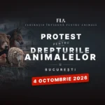 Zeci de ONG-uri și iubitori de animale din toată țara protestează duminică în București
