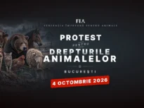 Zeci de ONG-uri și iubitori de animale din toată țara protestează duminică în București