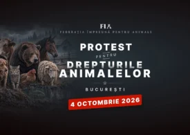 Zeci de ONG-uri și iubitori de animale din toată țara protestează duminică în București