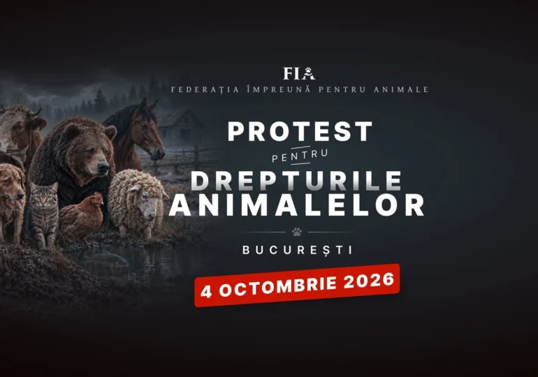 Zeci de ONG-uri și iubitori de animale din toată țara protestează duminică în București