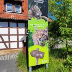 Foto: Facebook/Regia Nationala a Padurilor - Romsilva